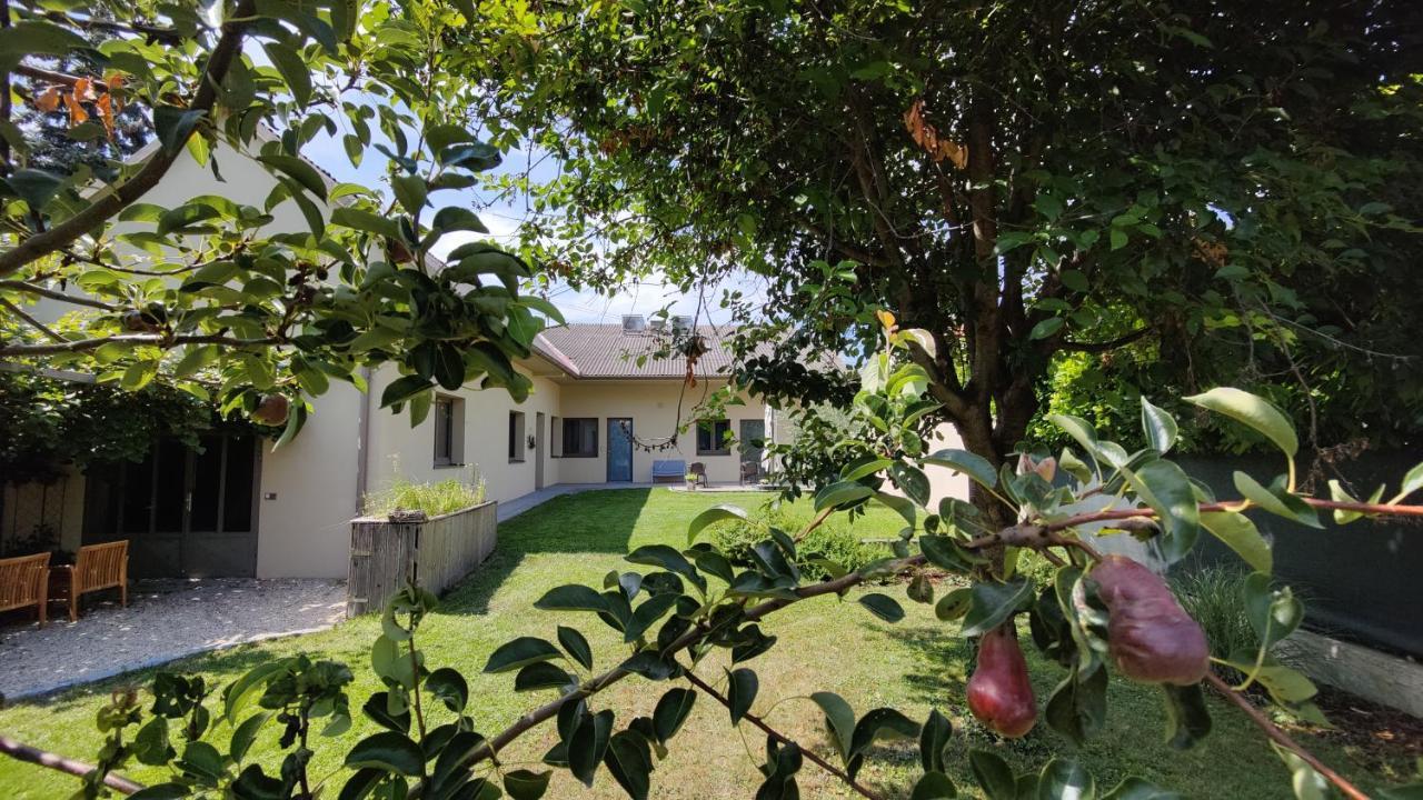 Sabines Apartments Ferienwohnungen Frauenkirchen Dış mekan fotoğraf