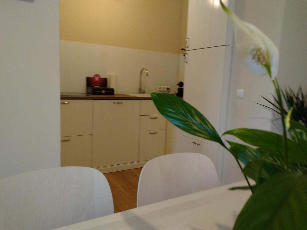 Sabines Apartments Ferienwohnungen Frauenkirchen Dış mekan fotoğraf