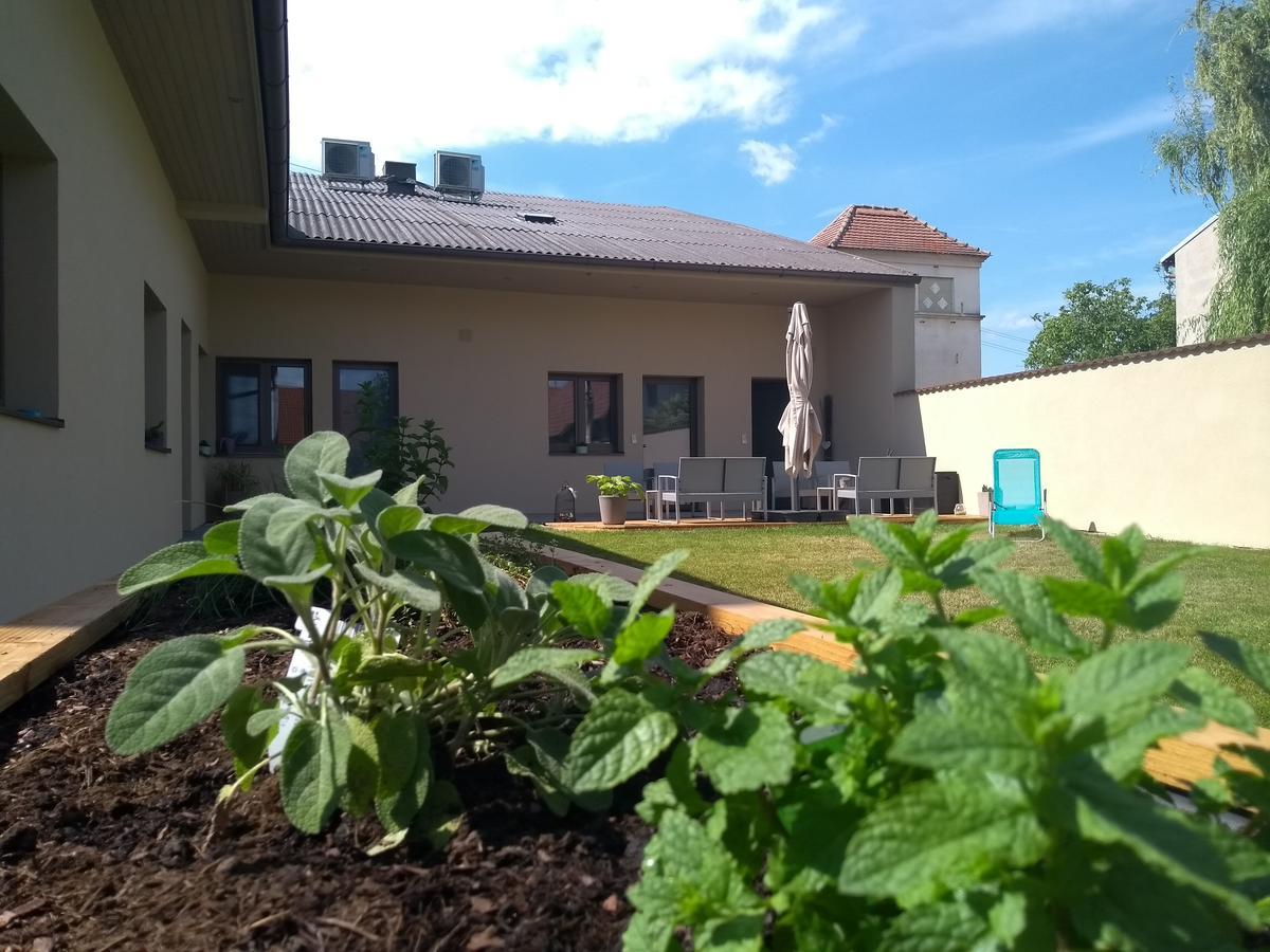 Sabines Apartments Ferienwohnungen Frauenkirchen Dış mekan fotoğraf